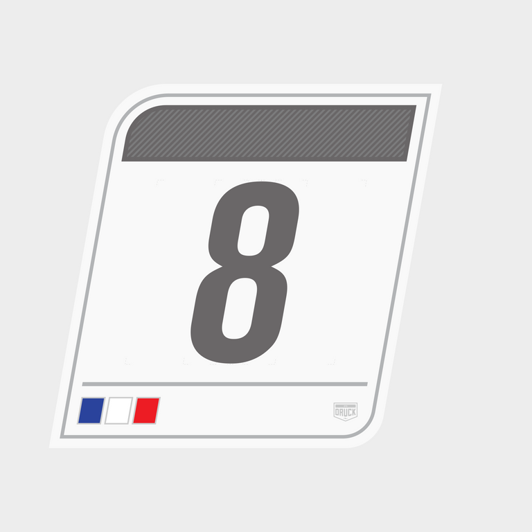 Druck France Chevrons Flag