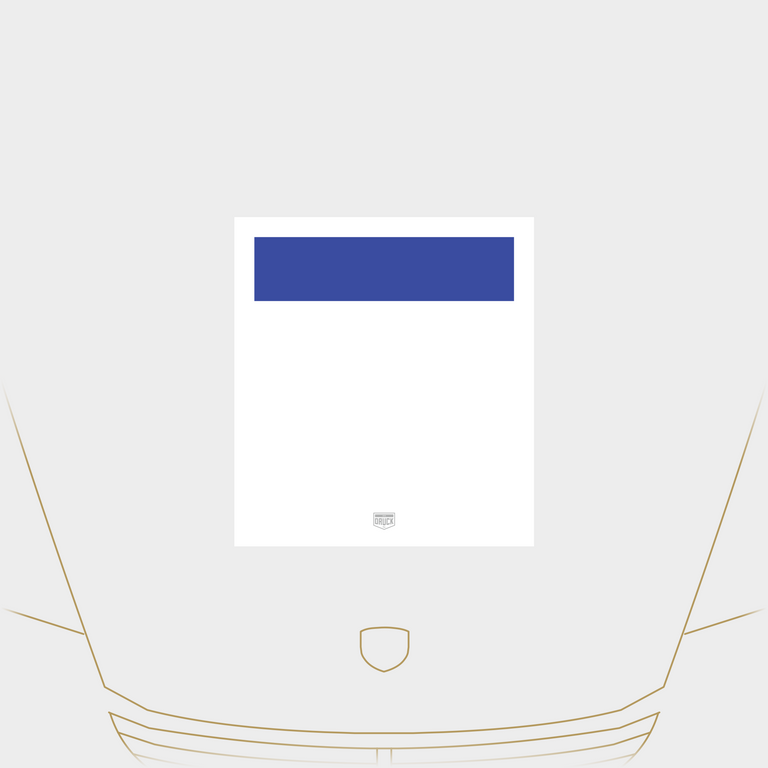Druck Group B Number Plate in White/Blue